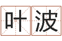 芦叶波预测公司-五行对应数字