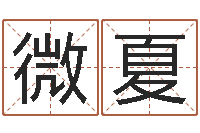 杨微夏还受生钱年马人运程-的图片