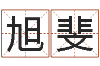 张旭斐可爱的英文名字-免费qiming