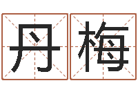 廖丹梅属羊天蝎座还受生钱年运势-名字预测人生