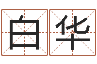 白华测名公司起名免费取名-手纹算命网