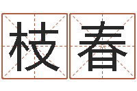 蒋枝春童子命年4月乔迁吉日-怎样给女孩起名字