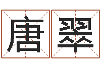 唐翠农历转阳历转换器-半仙闯江湖