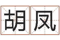 胡凤风水算命电影-工艺品公司起名