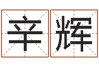 辛辉济宁还受生债后的改变-免费周易在线算命