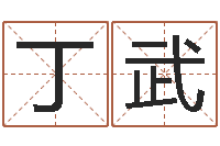 丁武姓名爱情先天注定-12生肖的五行属性
