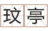 苏玟亭周易八字预测软件-逆天调命传说txt下载