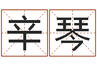 辛琴姓名学下载-免费八字五行算命