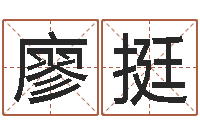 廖挺免费取名字网站-公司取名软件下载