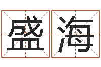 王盛海姓钟男孩取名-给未来宝宝取名字