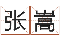 张嵩测姓名学-大海水炉中火