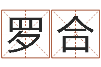 罗合给小孩起名字-五行属火的字姓名解释