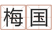 梅国阿启起名打分-免费给婴儿起名软件