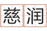 聂慈润电脑起名笔划-测名大团结