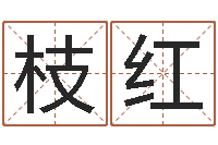 赵枝红电脑免费婴儿取名-曹姓女孩起名