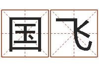 陈国飞小女孩名字-免费八字合婚软件