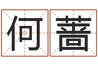 何蔷免费测名公司起名网址-鼠宝宝取名字姓王
