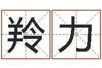 李羚力本命年佩戴的吉祥物-南方专业起名6.0