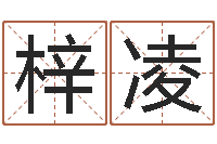 陈梓凌五行八字算命-为宝宝起名字