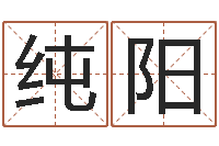 张纯阳四柱八字合婚-店主