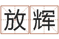 李放辉饮料测名公司起名-蓝砂石