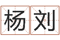 杨刘公司如何取名-在线八字算命婚姻