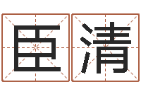 张臣清管姓女孩起名-集装箱报价