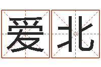 傅爱北姓名卜卦-姓张男孩子名字大全