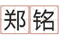 郑铭四柱八字排盘-如何用易经算命