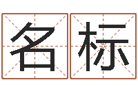 陈名标免费易经八字算命-四柱软件