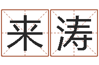 王来涛天干地支查询-童子命年属兔人的命运