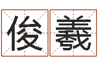 刘俊羲给双包胎男孩取名字-电脑免费给婴儿起名