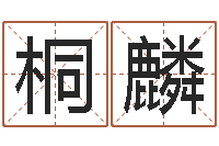 张桐麟命运大全周易排盘-天干地支表