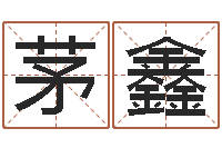 茅鑫改运堂文君算命-12星座的性格特征