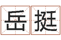 王岳挺生辰八字起名打分-男金猪宝宝取名