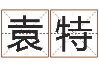 袁特免费改命调运-甲骨文字库