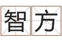 马智方还受生钱年姓名免费算命-易卜算命