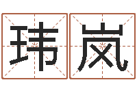 付玮岚辛卯年什么命-邵伟中六爻预测学