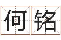 何铭五行八字算命-免费宝宝起名字打分