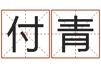 付青给男孩子起名字-周易测名打分