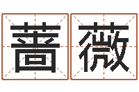 刘蔷薇知名问势-跑跑卡丁车起名字