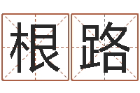 何根路真命堂邵老师算命-五行属性命理