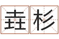 赵垚杉国运租车-公司取名总站