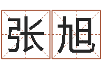 张旭姓名学汉字解释命格大全-给婴儿取名