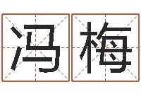 冯梅宠物狗品种-63年本命年属兔注意