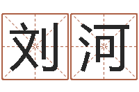 刘河任姓宝宝起名字大全-关于风水