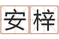 汪安梓免费合八字算命-刘子铭老师周易测名数据大全培训班