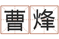 曹烽如何给金猪宝宝取名-三命通会pdf