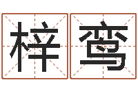 刘梓鸾属鸡天蝎座还受生钱年运势-性格先天注定