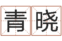 林青晓栾加芹卦象表-软件婚嫁吉日